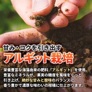 タカじいの 有田 みかん 3kg （良品 サイズおまかせ2S～2L） / 温州みかん 有田みかん 甘い 家庭用 和歌山 柑橘 ※1月順次発送【krs004-c-3-1A】