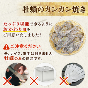 殻付き牡蠣 12個 カンカン焼きのおかわり 加熱用