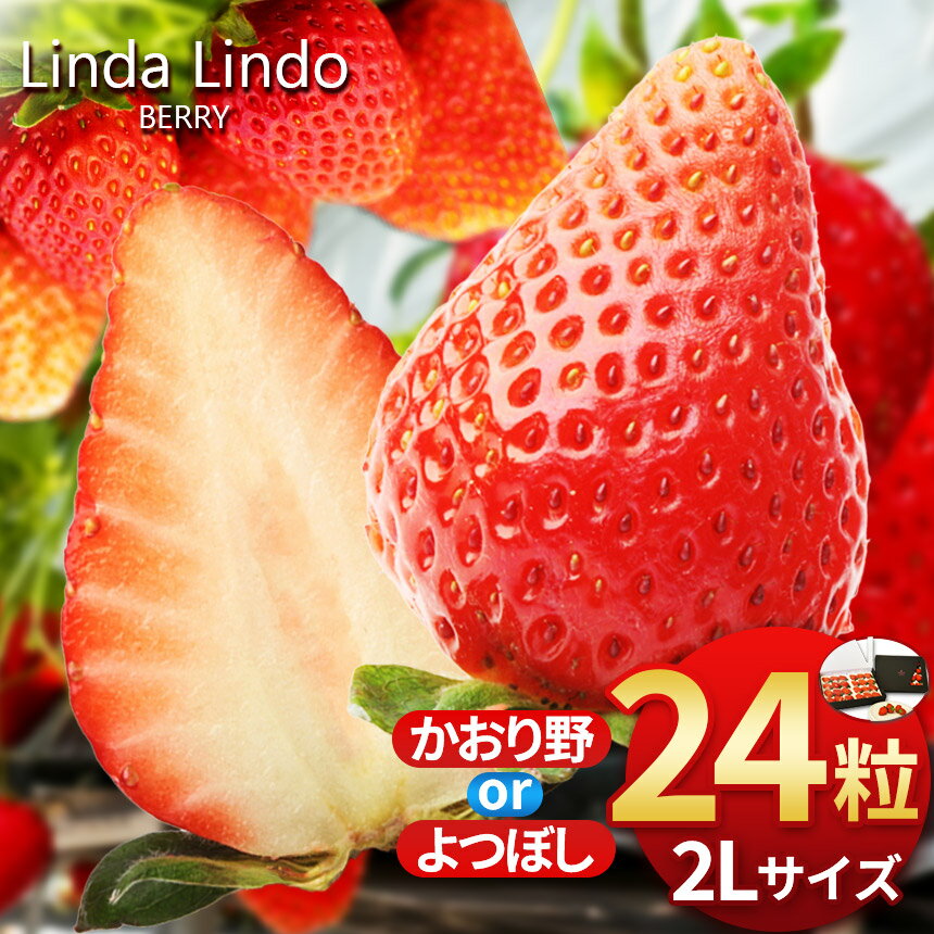 【ふるさと納税】【2026先行予約】いちご Linda Lindo BERRY 2Lサイズ 12粒x2 計24粒 | かおり野 よつぼし 苺 イチゴ 季節限定 岐阜県 北方町 送料無料 いちご プレゼント 贈り物 ギフト 贈答