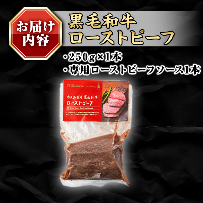 A0-08 ＜5等級＞鹿児島県産黒毛和牛ローストビーフ(250g・専用ソース付き) ふるさと納税 伊佐市 特産品 鹿児島 九州産 牛肉 国産 贈り物 冷凍 冷凍便 【986919】
