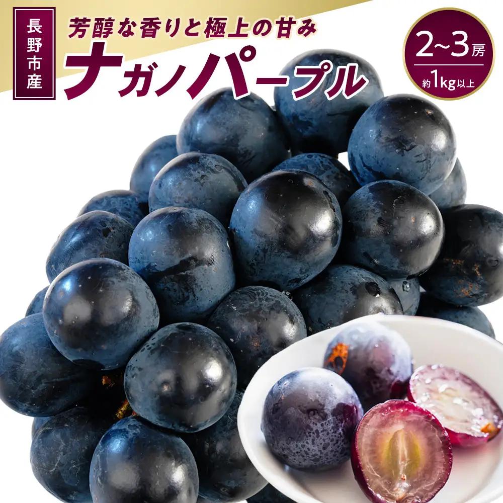 ナガノパープル約1kg 以上【2026年9月以降発送予定】(さらしな青果) | ぶどう ぶどう 種なし