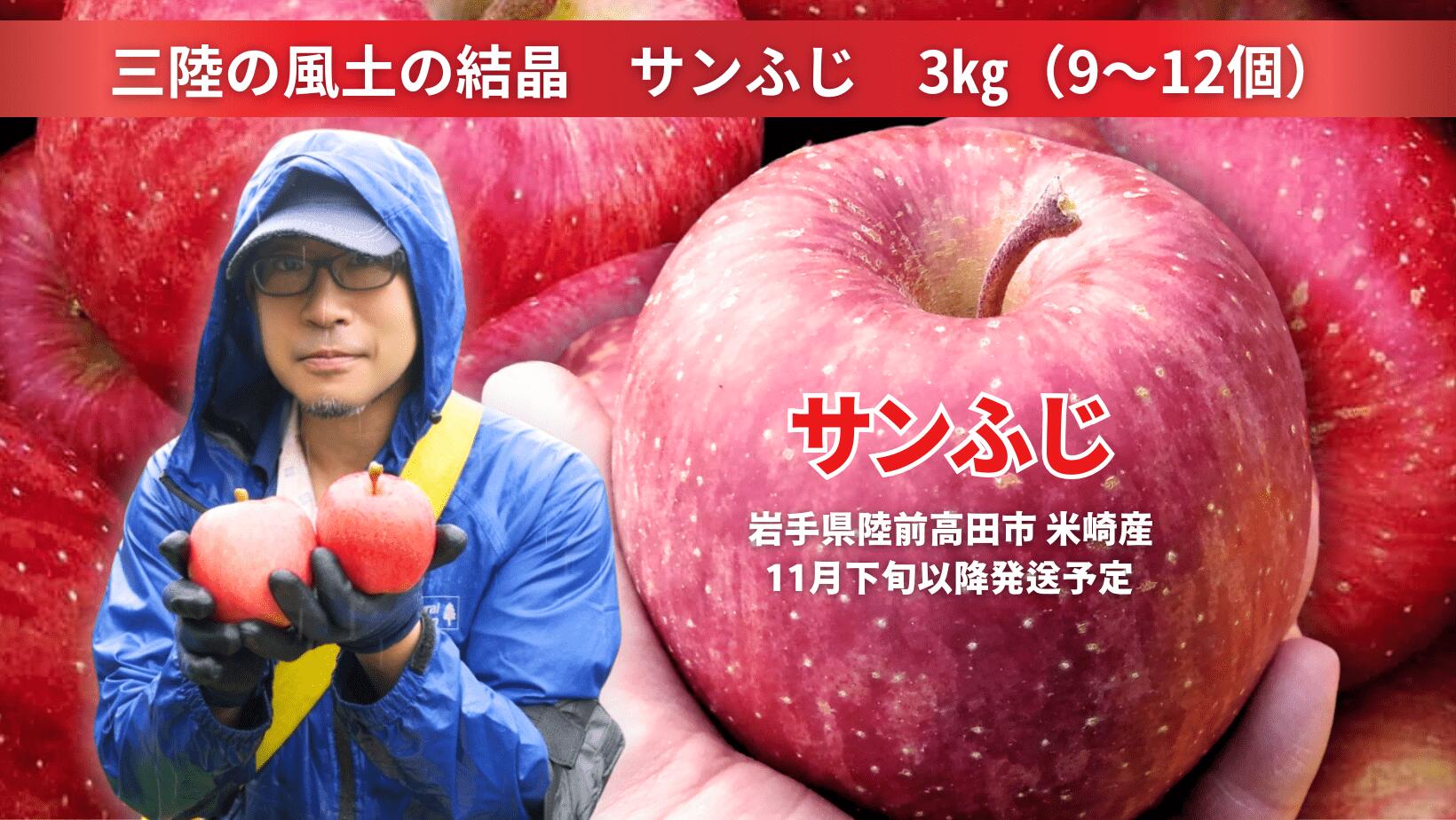 【ふるさと納税】先行予約 米崎りんご サンふじ 3kg ( 9〜12個 ) 三陸の風土の結晶 [ りんご リンゴ 林檎 フルーツ 果物 くだもの 旬 人気 おすすめ お取り寄せ リピート セット 詰め合わせ 手土産 ギフト プレゼント 贈り物 贈答品 国産 岩手 陸前高田 ]