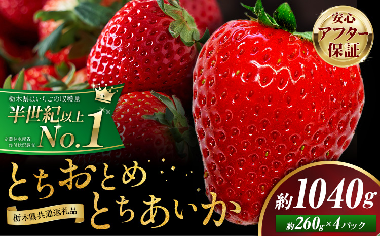 栃木 いちご 食べ比べ とちおとめ とちあいか 4パック 1040g 《1月中旬-5月上旬頃出荷》 栃木県 野木町 いちご イチゴ 苺 とちおとめ とちあいか 食べ比べ 果物 フルーツ ハート型 ジューシー 【配送不可地域】沖縄・離島