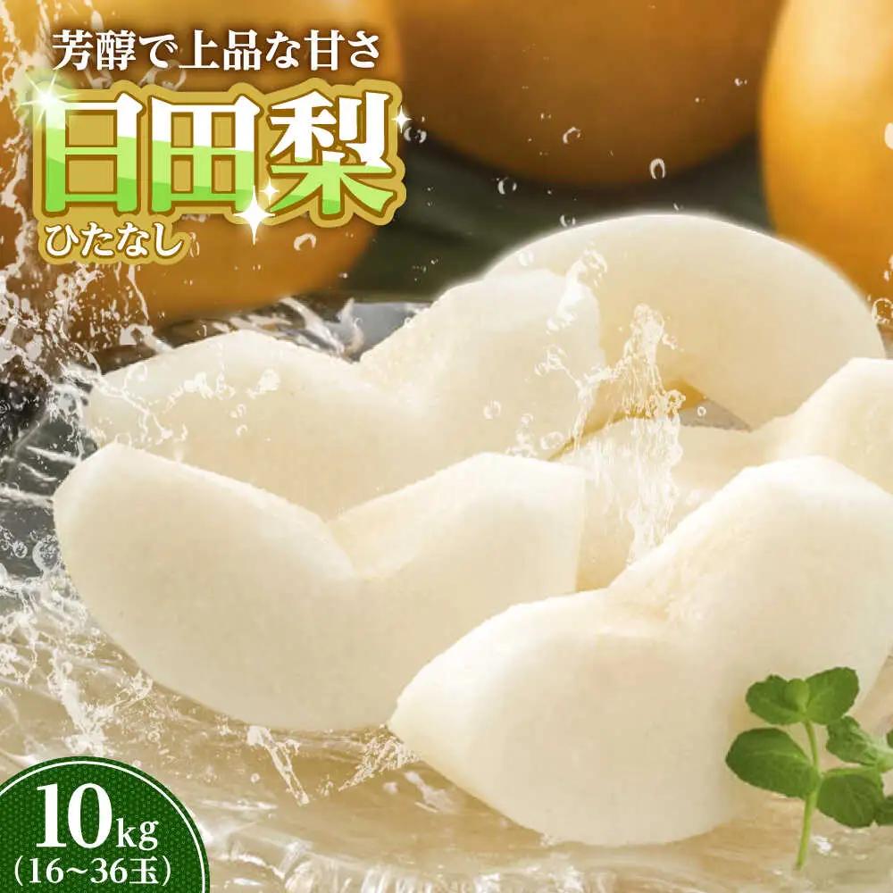 【先行予約】日田梨 約10kg 旬の梨 なし 果物【配送不可地域：離島】[ARET009]