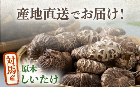 【全2回定期便】対馬産 原木 乾 しいたけ 360g《対馬市》【永留しいたけ農園】 肉厚 しいたけ シイタケ 椎茸 乾燥しいたけ 干ししいたけ[WAJ022]