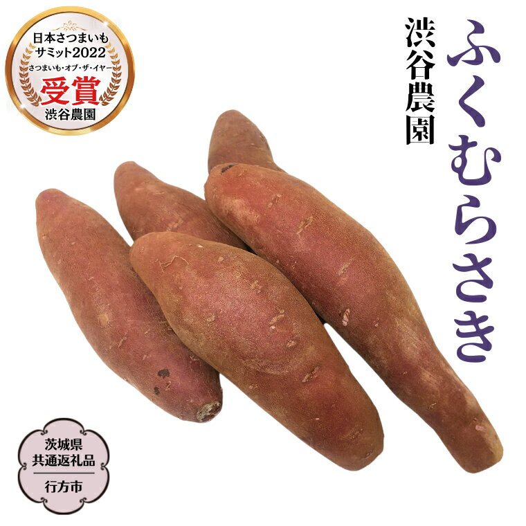 【ふるさと納税】 ふくむらさき 〈 選べる内容量 〉 【茨城県共通返礼品／行方市】2025年11月から発送開始 渋谷農園 さつまいも いも 芋 焼き芋