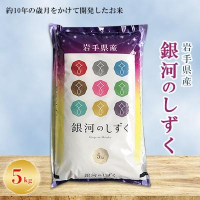 ふるさと納税 紫波町 【毎月定期便】岩手県産　銀河のしずく 精米 5kg全6回