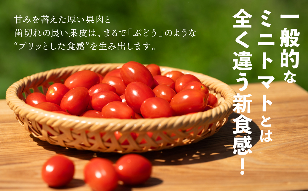 甘みを蓄えた厚い果肉と歯切れの良い果皮は、まるで「ぶどう」のような“プリッとした食感”を生み出します。