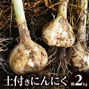 【ふるさと納税】土付きにんにく 約2kg【2025年5月上旬～2025年6月中旬配送】 | 国産 にんにく 野菜 肉厚 濃厚 土付き 新鮮 産地直送 鮮度抜群 風味抜群 旬 旬の野菜 季節の野菜 季節 農産物 生鮮食品 お取り寄せ おすそ分け 自宅用 家庭用 高松市産 瀬戸内 生にんにく