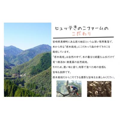 ふるさと納税 美郷町 宮崎県産 乾燥 椎茸 40g×1袋 チャック袋入 HUTTE 宮崎県 美郷町 [31ao0011] |  | 01
