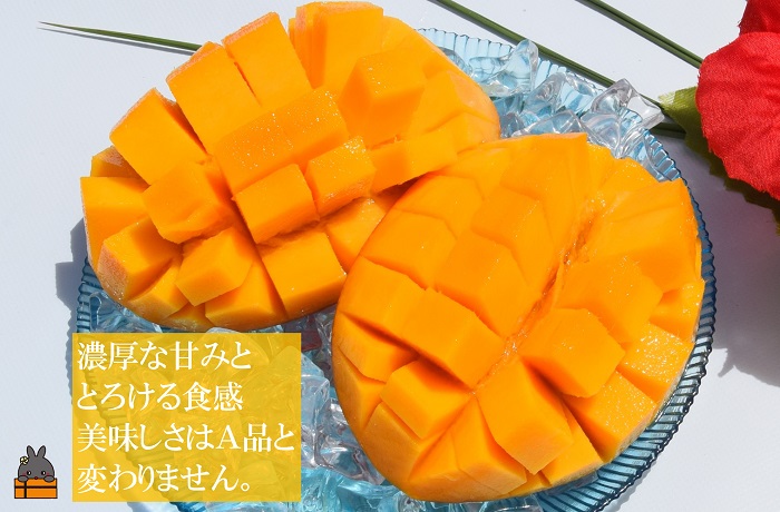 ≪今が旬！≫訳あり！【家庭用】徳之島産完熟マンゴー1kg（2～3玉）( マンゴー フルーツ わけあり 訳あり 訳有 果物 完熟 無加温 徳之島 世界自然遺産 美味しい とろける 旬 贅沢 糖度 南の島