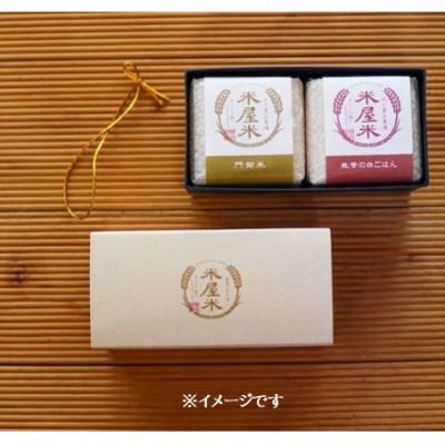 ふるさと納税 野々市市 【お米2合真空キューブ】2個入ギフト(ミルキークイーン・にじのきらめき各1個) |  | 01