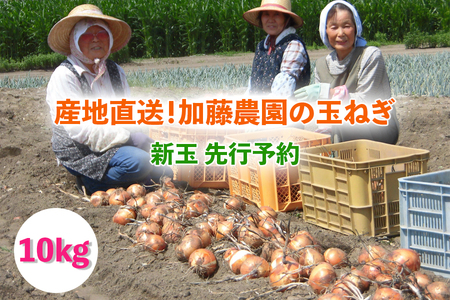 [新玉／令和8年6月から7月順次出荷予定] 産地直送！加藤農園の玉ねぎ 10kg｜数量限定 期間限定 タマネギ オニオン 玉葱 新玉ねぎ 産地直送 農家直送 野菜 新鮮野菜 国産 甘楽町産 群馬県産 先行予約 [0315]