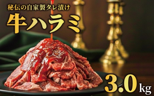 牛ハラミ タレ漬け 3kg 特選 タレ漬け牛ハラミ 個包装 冷凍 秘伝のタレ 味付き牛 小分け ハラミ はらみ 牛肉 お肉 肉 にく 漬け 特製 たれ 牛ハラミ 味付き 焼くだけ 焼き肉 やきにく 焼肉セット 焼肉用 野菜炒め 焼肉 たれ 人気 うし ぎゅうにく おにく はらみ 腹身 ふるさと納税肉 ふるさと納税牛ハラミ 選べる容量 バーベキュー BBQ 奈良県 奈良市 なら 焼肉工房もく