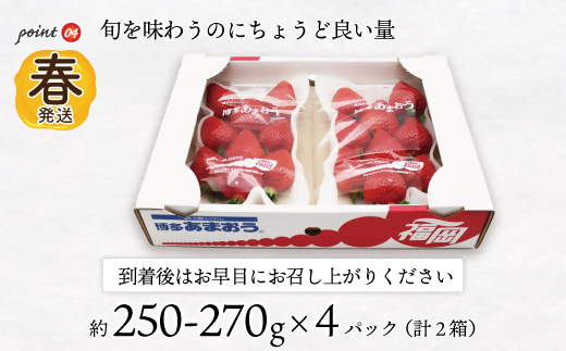 AT-004_博多あまおう4パック(春)『2～4月発送』