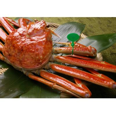 ふるさと納税 京丹後市 京丹後市産 茹で間人蟹【厳選】中大サイズ2匹入りtaizakani800 |  | 02