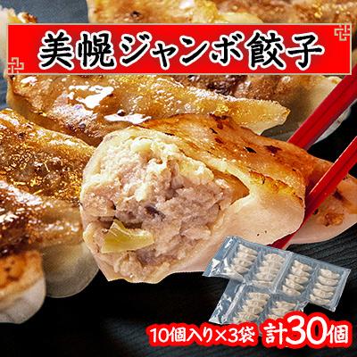 ふるさと納税 美幌町 美幌ジャンボ餃子　30個(10個入り×3袋)