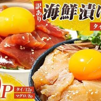 訳あり海鮮漬け丼（タイ12P・マグロ8P）セット 漬け丼 漬け 鯛 鮪 マグロ 赤身 食べ比べ 海鮮 魚 冷凍 食品 保存食 小分け 高知 土佐 海鮮丼 漬け丼 ぶっかけ【企業組合　宇佐もん工房】 [