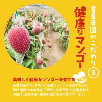 くるめで育った完熟マンゴー(2～3個：約1.3kg)