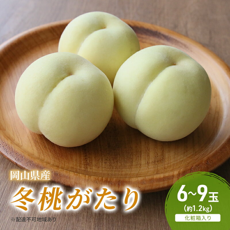 【ふるさと納税】桃 2025年 先行予約 冬桃がたり 6～9玉（約1.2kg）化粧箱入り もも モモ 岡山県産 国産 フルーツ 果物 セット ギフト 　お届け：2025年11月下旬～2025年12月下旬