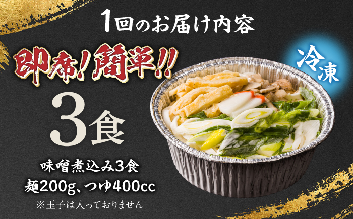 【3回定期便】岐阜の味 田毎の味噌煮込みうどんセット 即席 カンタン 麺 岐阜市 / ラボレムス [ANFP008]