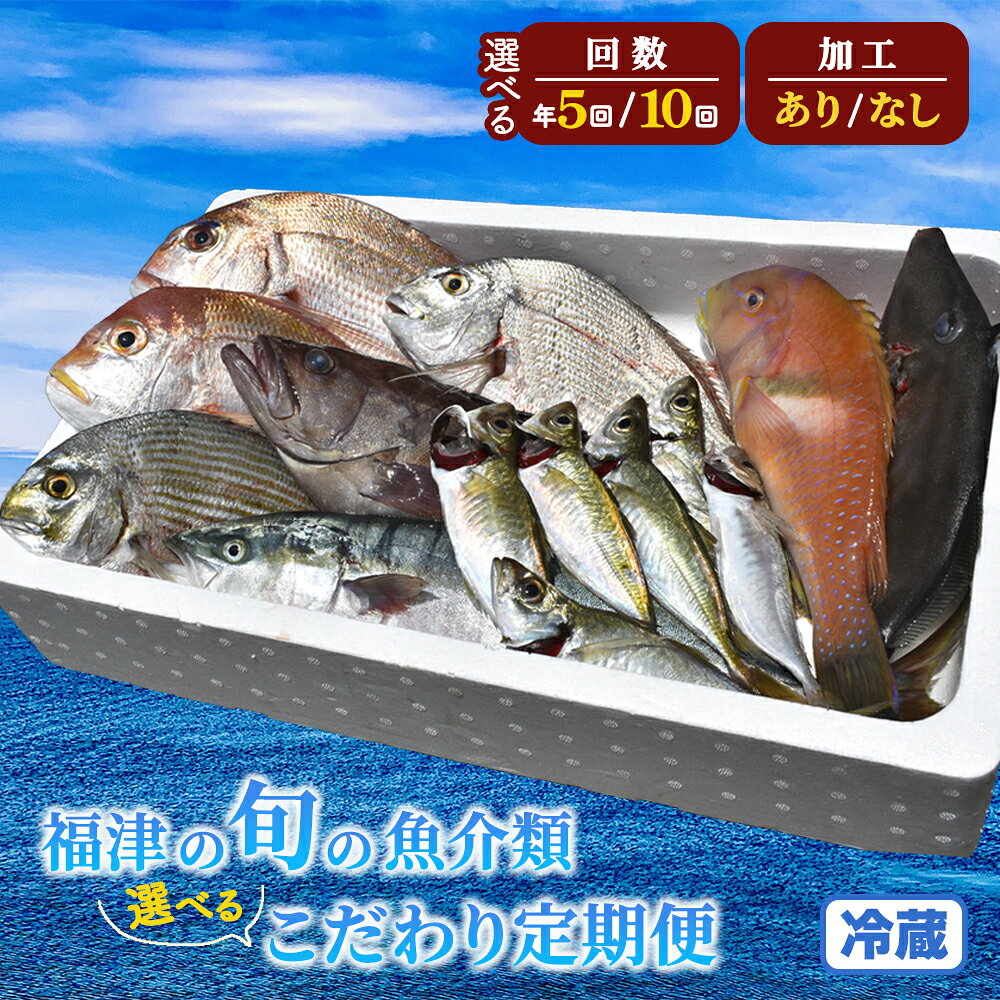 【ふるさと納税】＜選べる回数＞＜加工有無選択＞福津の旬の魚介類こだわり定期便 魚 魚介類 イカ サザエ 真鯛 セット 地魚 コウイカ 定期便 新鮮 冷蔵 福津市産 福岡県産 国産 送料無料【随時発送】 [Z7019r] [Z7018r] [Z7017r] [Z7016r]