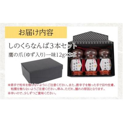 ふるさと納税 大野市 【道の駅人気商品】しのくらなんば3本セット |  | 03