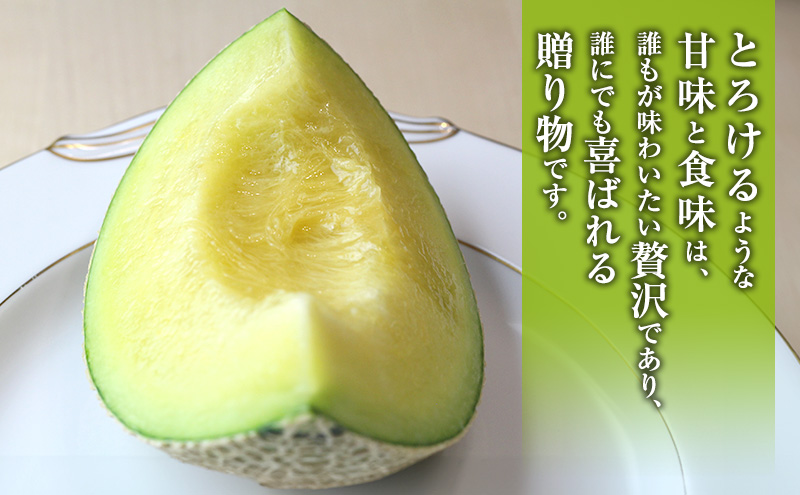 クラウンメロン 2玉入り 約2.4kg 白等級 化粧箱入り 果物 フルーツ メロン メロンの王様 最高級 贈答品 プレゼント お取り寄せ 浜松市 静岡
