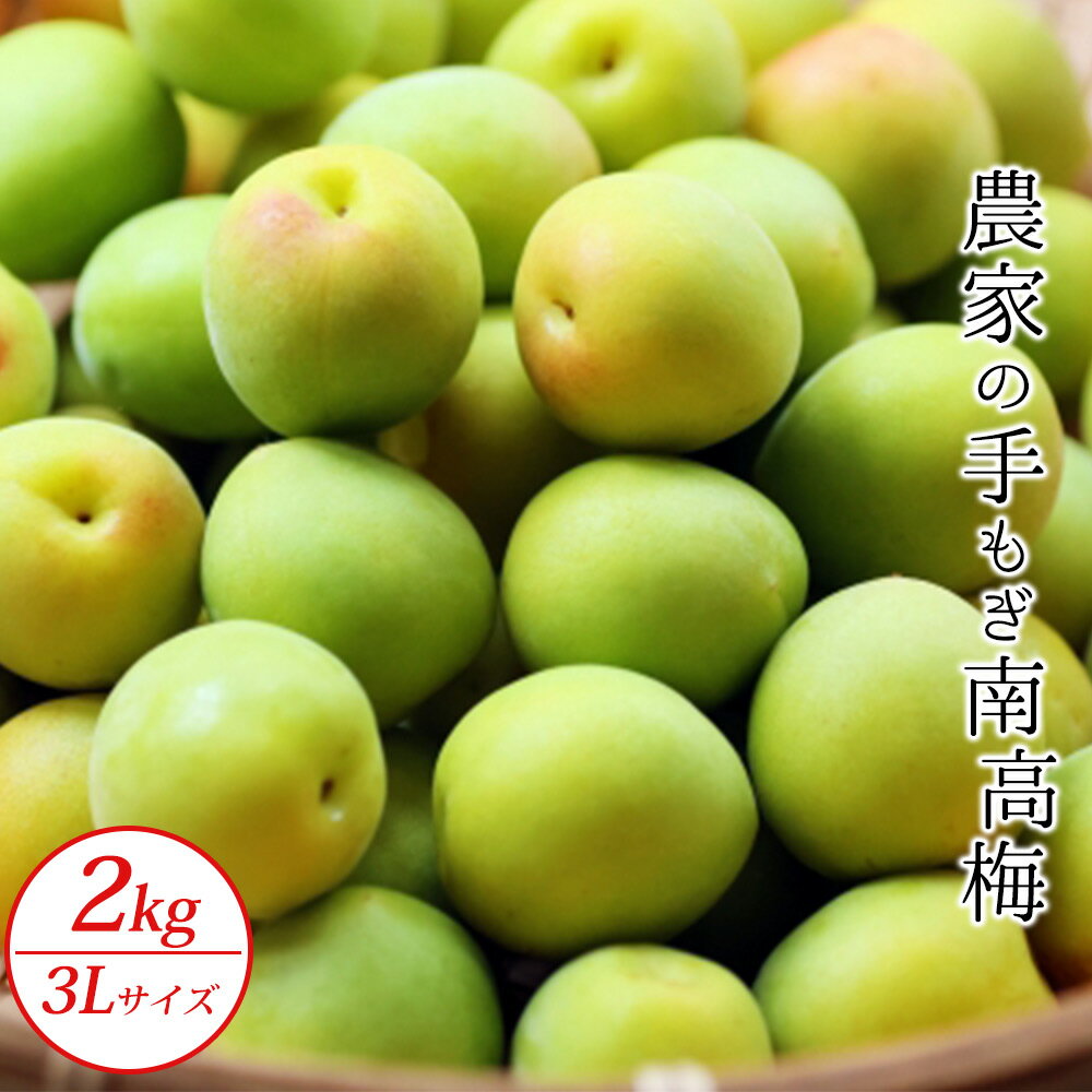 【ふるさと納税】農家の手もぎ南高梅2kg（3Lサイズ）