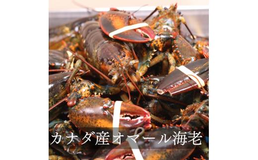 『隠れ家シェフ手作りスイーツ』オマールエビとズワイガニのチーズケーキ　お酒や料理と合わせて楽しむ甘くない”おつまみ”　Flavor Cake ／ 塩系チーズケーキ チーズ感覚 こだわり素材 旨味 贅沢