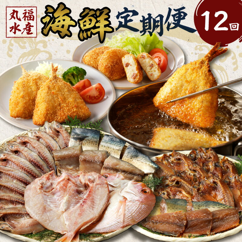 【ふるさと納税】丸福水産・海鮮定期便【12回】 ＼レビューキャンペーン実施中／