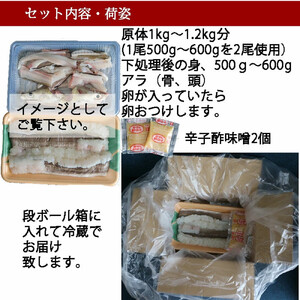 【先行予約】活き締め鱧（はも）セット（二人前～三人前）辛子酢味噌・ポン酢付き 湯引き 鱧しゃぶ