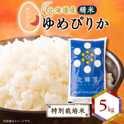 ふるさと納税 斜里町 【北海道産】ゆめぴりか 5kg 〈特別栽培米〉 精米