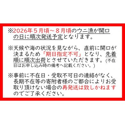 ふるさと納税 陸前高田市 【先行受付】 三陸産 生うに 100g 塩水パック 獲れたその日に出荷 ウニ 雲丹 天然 濃厚 旬 |  | 03