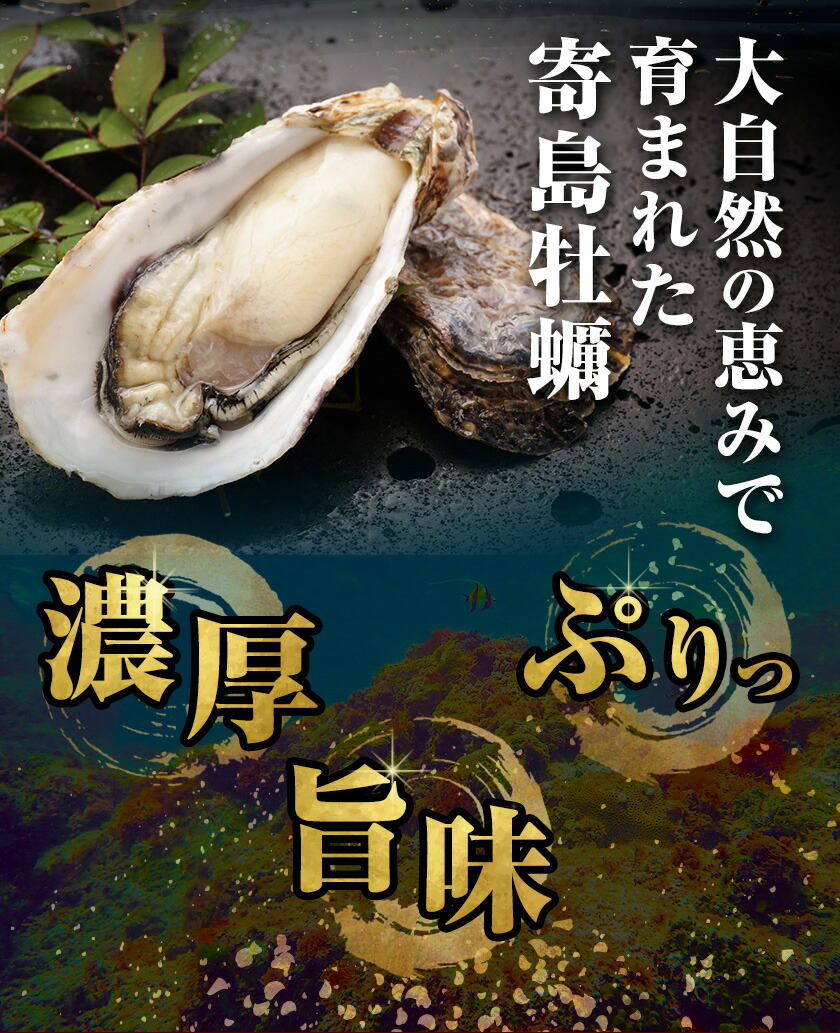 炊き込みご飯 寄島 漁港の釜飯 かきめし 210g×1個 いかめし 220g×1個 3回（製造地：岡山県浅口市）ハレノヒ良品(まからずやストアー)《90日以内に発送予定(土日祝除く)》岡山県 浅口市 