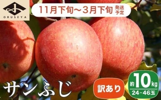 【訳あり】 サンふじ 約10kg 24～46玉 ［小布施屋］ りんご 林檎 リンゴ 不揃い 規格外 果物 フルーツ 生産者応援 支援 家庭用 令和7年産 【2025年11月下旬～2026年3月下旬発送】 ［B-6］