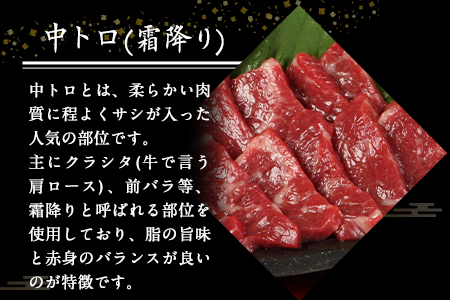 大トロ馬刺し(50g)中トロ(霜降り)馬刺し(50g)食べ比べコース【純国産熊本肥育】《30日以内に出荷予定(土日祝除く)》