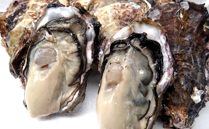 牡蠣 2026年 先行予約 殻付き牡蠣 レンジでチン セット 5個入×2袋 山銀商店 瀬戸内海虫明湾産 魚介類 カキ かき シーフード