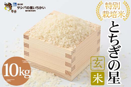 特別栽培米　玄米〈とちぎの星〉10kg ≪米 お米 白米 ご飯 栃木県産≫ ※離島への配送不可 ※9月中旬頃より順次発送予定
