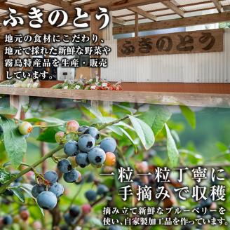 A-050 霧島市産ブルーベリー1.2kg(冷凍)【霧島農産加エグループふきのとう】霧島市 ブルーベリー 冷凍 新鮮 フルーツ