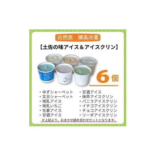 アイスクリーム6個_菓子・スイーツ アイス・ジェラート _【ME071】