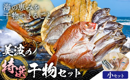 はまみや海産 美波 の 特選 干物セット 小セット《30日以内に出荷予定（土日祝除く）》徳島県 佐那河内村 干物 ひもの みりん干し 一夜干し