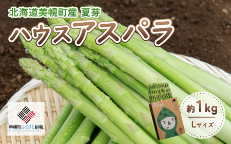 [先行受付]2025年産 ハウスアスパラ(夏芽) L サイズ 約1kg【配送不可地域：離島】【 アスパラ アスパラガス 野菜 北海道 美幌町 送料無料 】 BHRG017