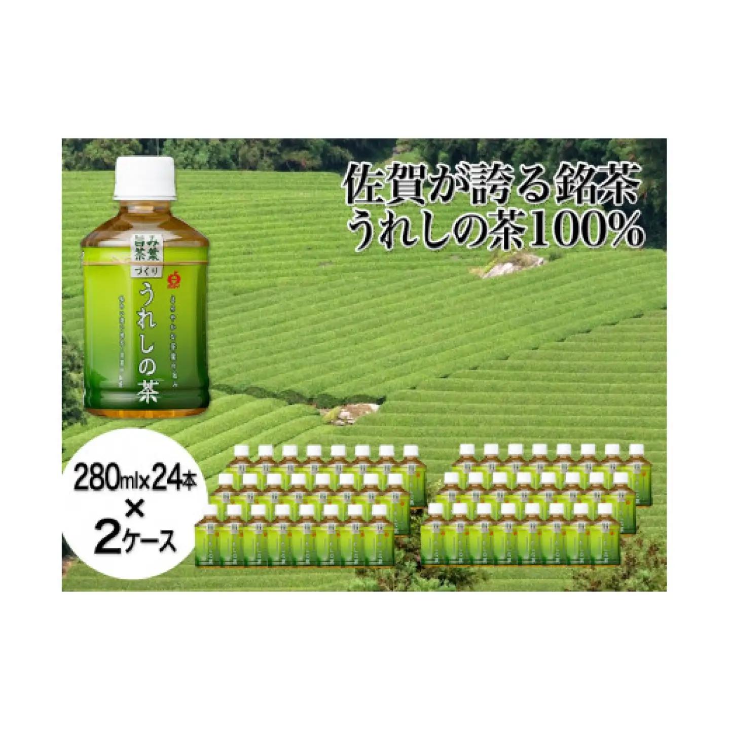 うれしの茶 280ml×24本入×2ケース / お茶 緑茶 嬉野茶 ペットボトル / 佐賀県 / さが風土館季楽[41AABE107]