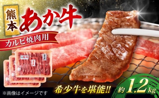 熊本 あか牛 カルビ 焼肉用 約1.2kg【合同会社 たべたせいか】 [AYCB052]