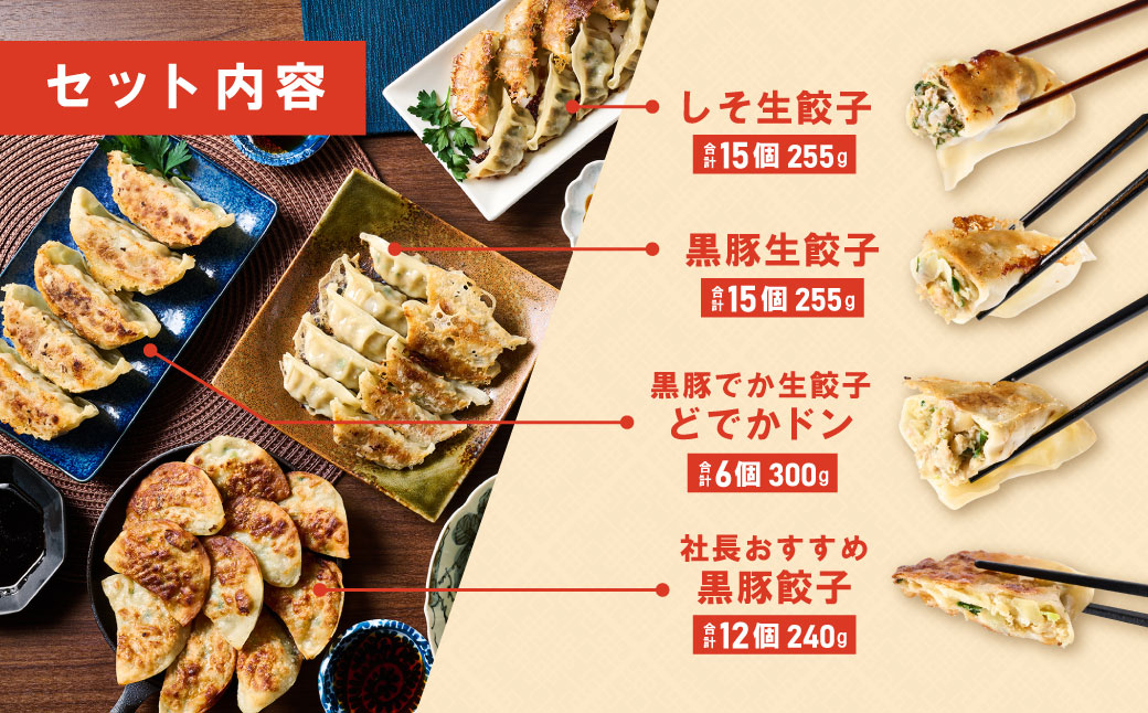 【順次発送】 八代市東陽町の生姜を使った 餃子の王国 餃子 8種詰合せ 生餃子