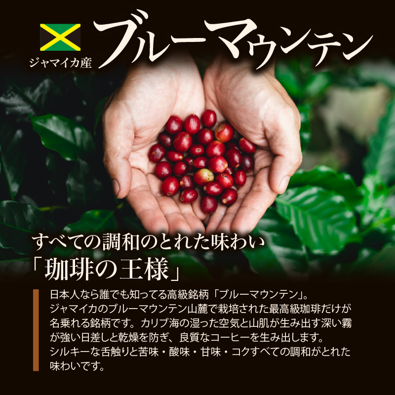 ブルーマウンテン100g＆ハワイコナコーヒー100g 定期便6ヶ月コース 豆コース_Ec108-B