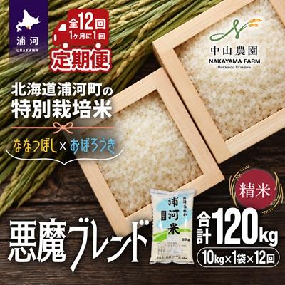 ふるさと納税 浦河町 北海道浦河町の特別栽培米「悪魔ブレンド」精米(10kg×1袋)定期便(全12回)[37-1654]