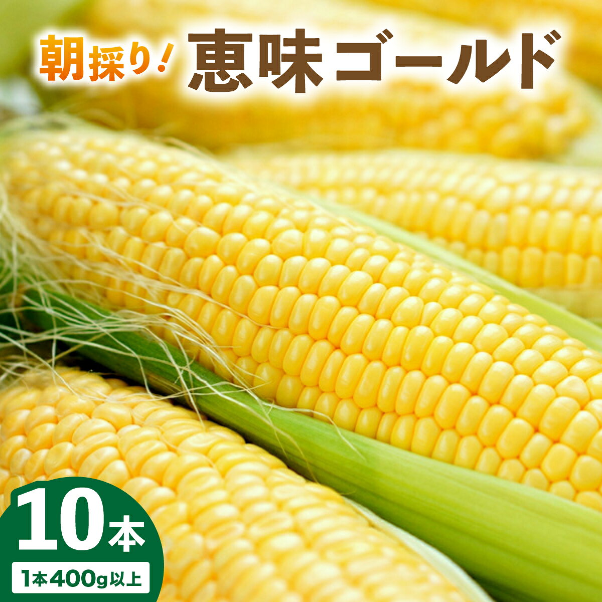 【ふるさと納税】【先行予約】＜寄付額改定↓＞朝取りスイートコーン「恵味ゴールド」10本入り｜コーン とうもろこし 岩見沢市 野菜 北海道【a167-001】
