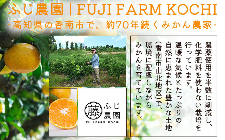 【2回定期便】ふじ農園の露地みかん 訳あり品 10kg(2S～M) - 5kg×2箱 計10kg 国産 小玉 蜜柑 ミカン 柑橘 果物 フルーツ 訳アリ ご家庭用 自宅用 ふじ農園 高知県 香南市【常温】Wfn-0023